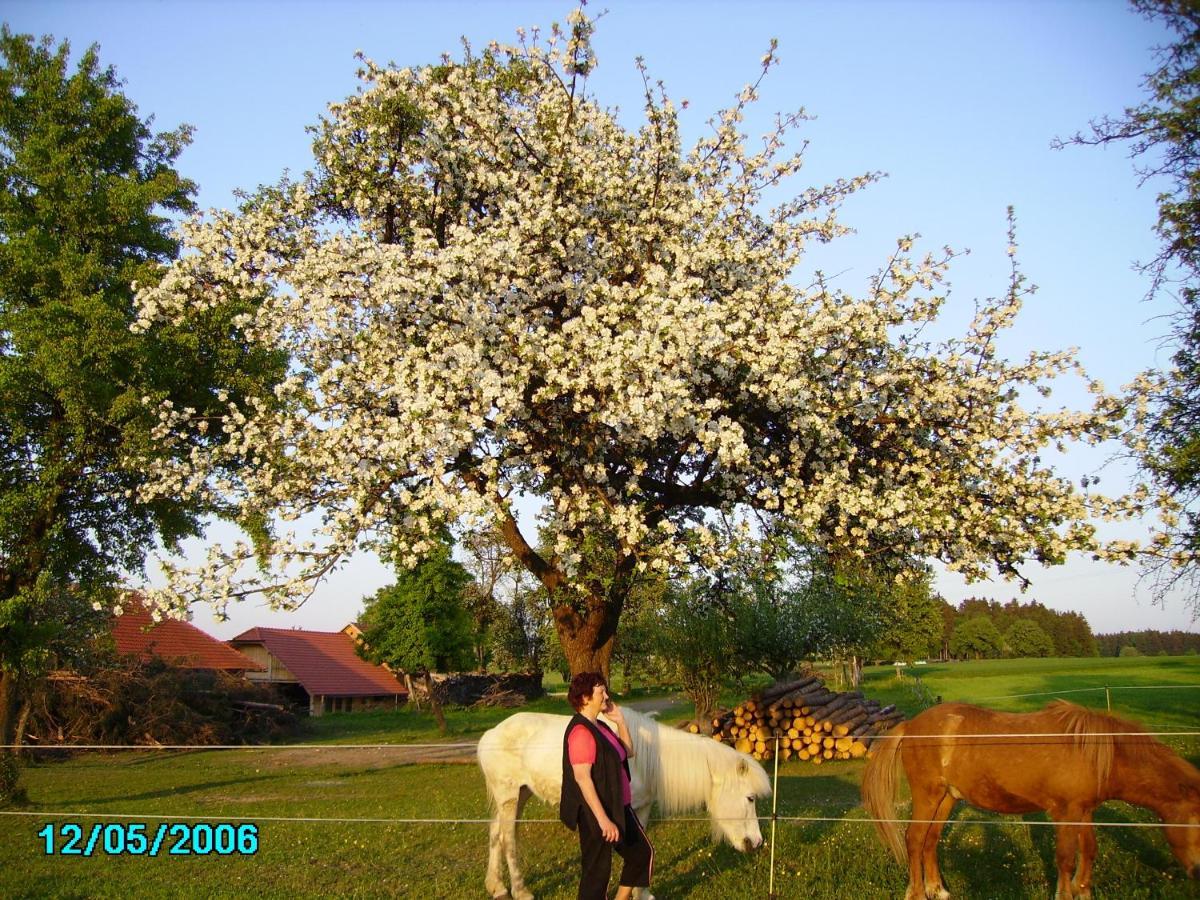 Haag Gestehof Hetzenberg المظهر الخارجي الصورة